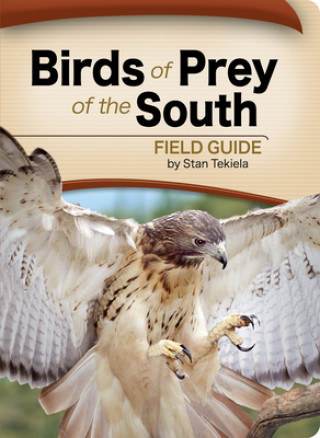 Kniha Birds of Prey of the South Field Guide Stan Tekiela