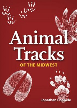 Joc / Jucărie Animal Tracks of the Midwest Playing Cards Jonathan Poppele