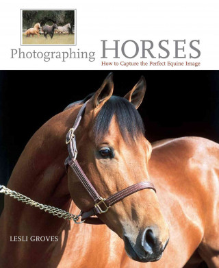 Kniha Photographing Horses Lesli Groves