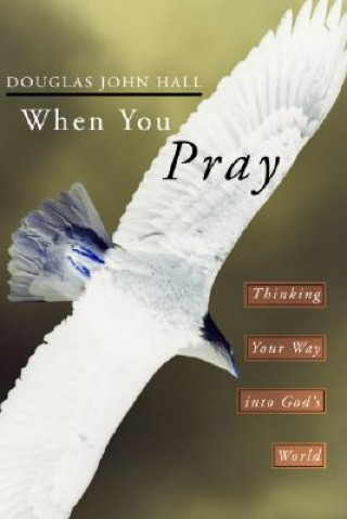 Книга When You Pray: Thinking Your Way Into God's World Douglas John Hall