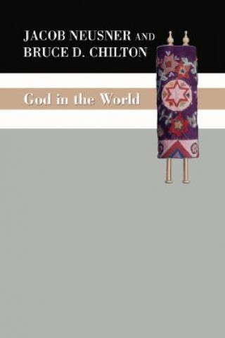 Kniha God in the World Bruce Chilton