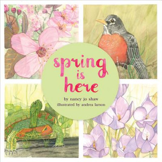 Книга Spring Is Here Nancy Jo Shaw