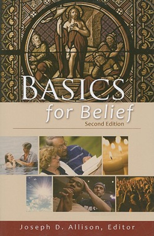 Kniha Basics for Belief Joseph D. Allison