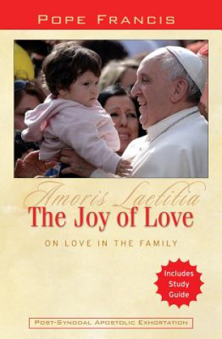 Kniha The Joy of Love: On Love in the Family: Amoris Laetitia Pope Francis