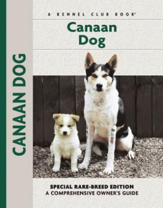 Könyv Canaan Dog Joy Levine