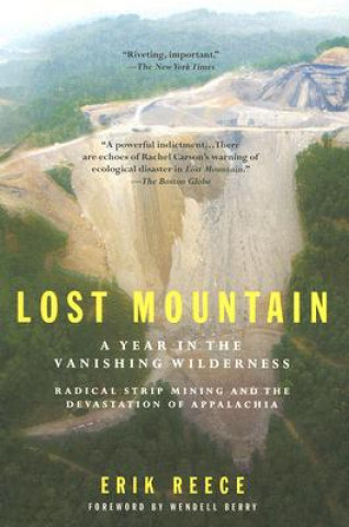 Carte Lost Mountain: A Year in the Vanishing Wilderness: Radical Strip Mining and the Devastation of Appalachia Erik Reece