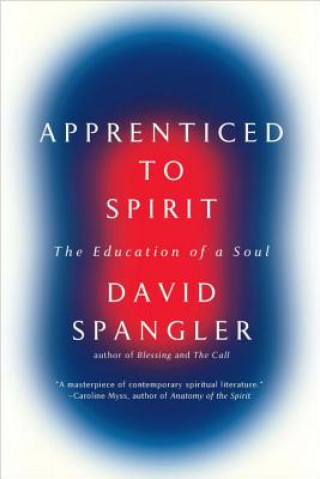 Kniha Apprenticed to Spirit: The Education of a Soul David Spangler