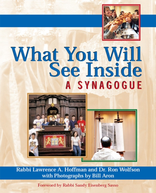 E-kniha What You Will See Inside a Synagogue Lawrence A. Rabbi Hoffman