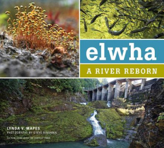 Knjiga Elwha: A River Reborn Lynda V. Mapes