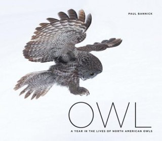 Книга Owl: A Year in the Life of North American Owls Paul Bannick