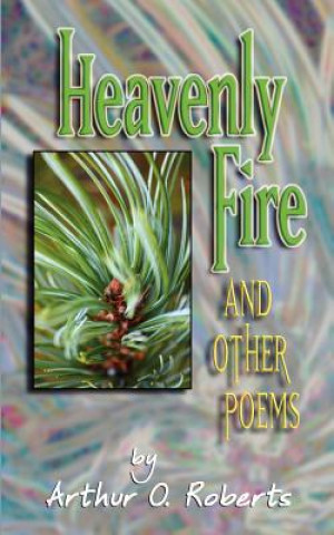 Książka Heavenly Fire Arthur O. Roberts