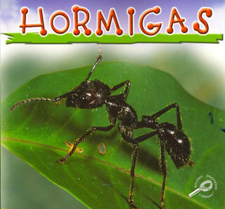 Knjiga Hormigas (Ants) Jason Cooper