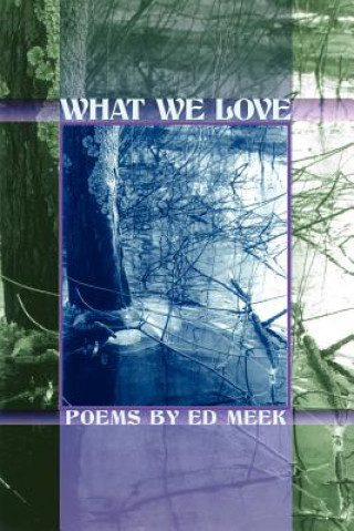 Buch WHAT WE LOVE Ed Meek