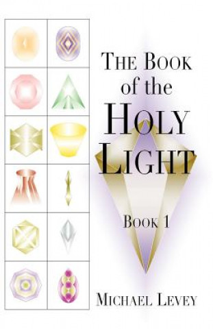 Kniha The Book of Holy Light Michael A. Levi