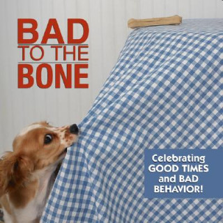 Kniha Bad to the Bone: Celebrating Good Times and Bad Behavior! Willow Creek Press