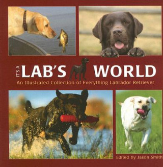 Könyv It's a Lab's World: An Illustrated Collection of Everything Labrador Retriever Jason Smith