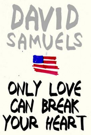 Book Only Love Can Break Your Heart David Samuels
