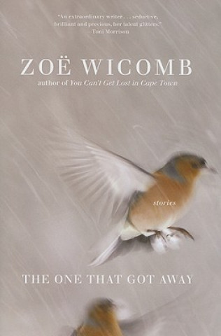 Knjiga The One That Got Away: Short Stories Zoe Wicomb