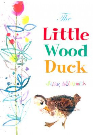 Kniha The Little Wood Duck Brian Wildsmith