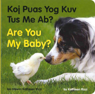 Livre Are You My Baby? (Hmong/English) Kathleen Rizzi