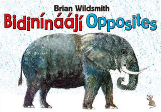 Könyv Brian Wildsmith's Opposites (Navajo/English) Brian Wildsmith