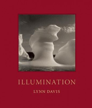 Книга Illumination Lynn Davis