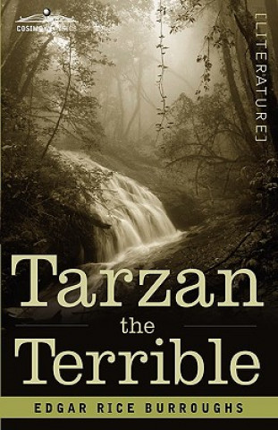 Book Tarzan the Terrible Edgar Rice Burroughs