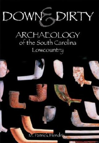 Book Down & Dirty: Archaeology of the South Carolina Lowcountry M. Patrick Hendrix