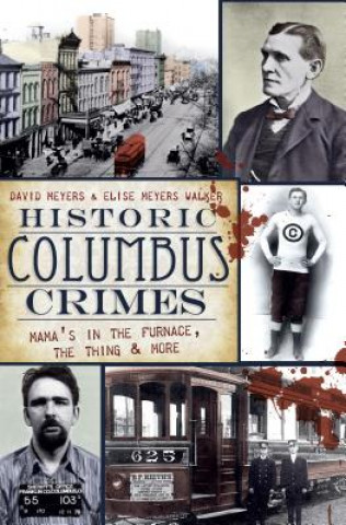 Книга Historic Columbus Crimes: Mama's in the Furnace, the Thing & More David Meyers