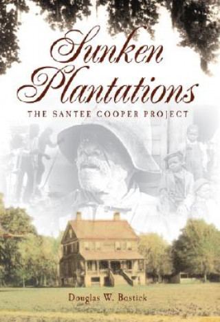 Kniha Sunken Plantations: The Santee Cooper Project Douglas W. Bostick