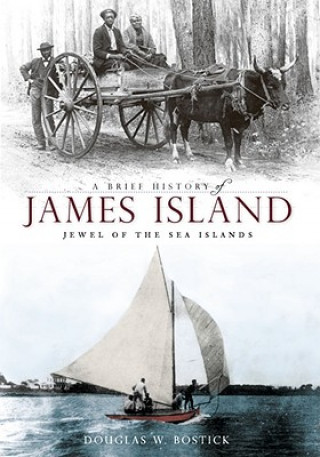 Könyv A Brief History of James Island: Jewel of the Sea Islands Douglas W. Bostick