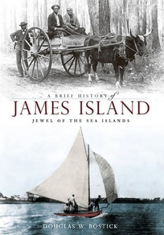 Buch A Brief History of James Island: Jewel of the Sea Islands Douglas W. Bostick