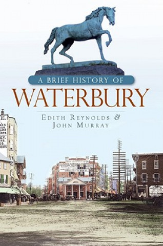 Kniha A Brief History of Waterbury Edith Reynolds