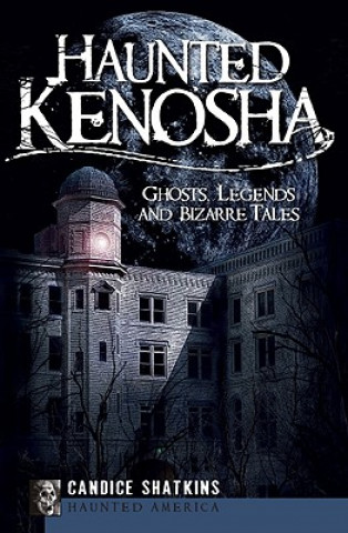 Könyv Haunted Kenosha: Ghosts, Legends and Bizarre Tales Candice Shatkins