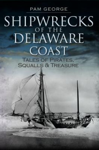 Carte Shipwrecks of the Delaware Coast:: Tales of Pirates, Squalls and Treasure Pam George