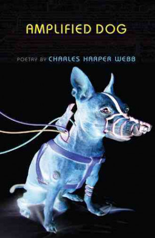 Книга Amplified Dog Charles Webb