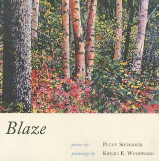 Książka Blaze Peggy Shumaker