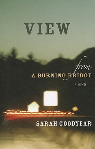 Könyv VIEW FROM A BURNING BRIDGE Sarah Goodyear