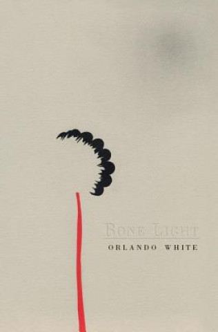 Book Bone Light Orlando White