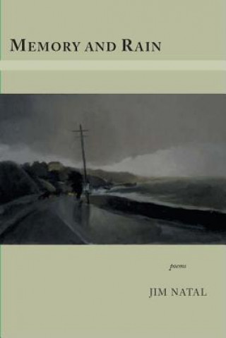 Buch Memory and Rain Jim Natal