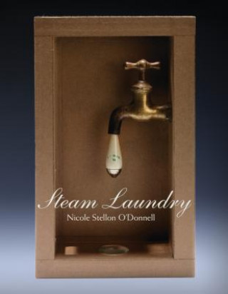 Книга Steam Laundry Nicole Stellon O'Donnell