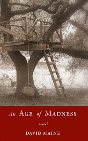 Kniha Age of Madness David Maine