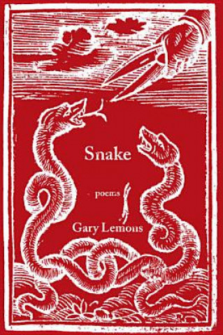 Kniha Snake Gary Lemons