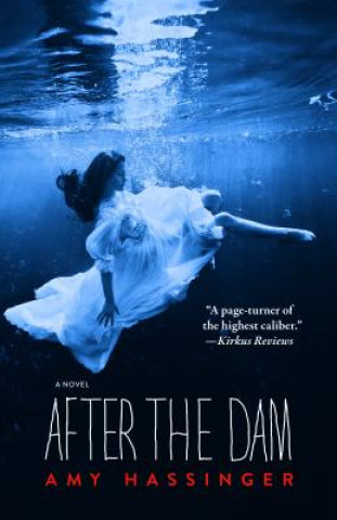 Libro After the Dam Amy Hassinger