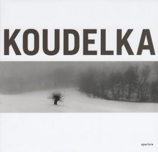 Книга Koudelka Robert Delpire