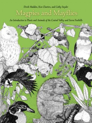 Kniha Magpies and Mayflies: An Introduction to Plants and Animals of the Central Valley and the Sierra Foothills Derek Madden