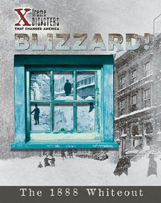 Book Blizzard! Jacqueline A. Ball