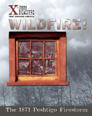 Buch Wildfire! Jacqueline A. Ball