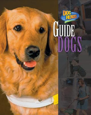 Kniha Guide Dogs Melissa McDaniel