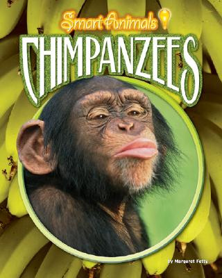 Książka Chimpanzees Margaret Fetty